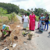 "Samrudhi Green Color Aswedduma Matrubhumi" National Plantation Day Environment Program / Homagama (Kirigampamunwa) (2022-09-28)